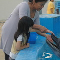 彤彤第一次摸海豚2008 10月