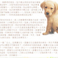 導盲犬小Q（再見了可魯　另一譯名）