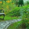雨中公園涼椅