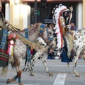 Rose Bowl Parade 2010 - 1