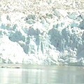 哈伯冰河Hubbard Glacier