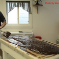 Chocolate Fudge in the Making