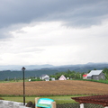 2011 北海道