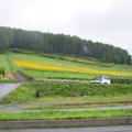 2011 北海道