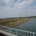 到東京的特急電車上拍攝，東京到處都種植櫻花，在郊區也是各家各戶種植櫻花。