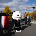 東本願寺的吉祥物，因為很多人跟它拍照，所以想要拍下單獨照還真有點困難，花了一點時間等待一瞬間。