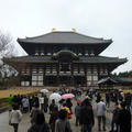 宗教信仰:寺廟vs神社
千年不變的信仰與輝煌