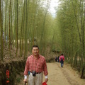 爸爸跟翠綠的竹林照相