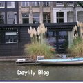 阿姆斯特丹運河畔水上住家 5