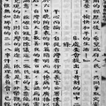 (五)風聲鶴唳中的台北：8.處委會提出了苛刻的四十二條-1