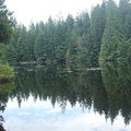 Mundy lake湖水pH4左右，造成酸性的原因據悉與湖底苔癬的堆積有關。湖水顏色呈咖啡色，動物物種幾乎絕跡，僅看過青蛙及蜻蜓各一隻。