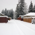 Coquitlam 2008的雪景