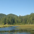 距離Lodge不遠的地方，Minikadha lake是一個介於沼澤與溼地之間的生態系，水深大約不及腰，湖裡沉積許多有機質，湖水清澈，湖上、湖裡動植物相種類繁多，是一個很理想的生態研究室。