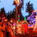 14th Bright Night at Stanley Park