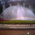 噴水池的水霧形成了美麗彩虹