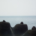 海岸的雕塑者 - 野柳 - 2