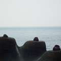海岸的雕塑者 - 野柳 - 12
