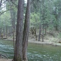 Yosemite森林小溪