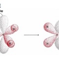 有機化學310 圖2 Sigma-pi_double_bond