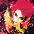 Hide - 4