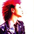 Hide - 11