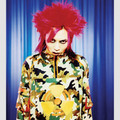 Hide - 20