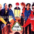 Hide - 24