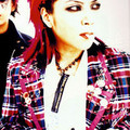 Hide - 37