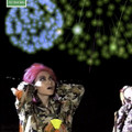 Hide - 6