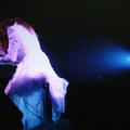 Ｘ Japan【YOSHIKI】 - 2