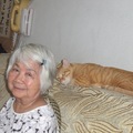 老貓和老媽