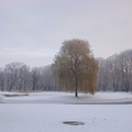 冬天的Golf 球場 - 1
