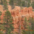 Bryce Canyon NP - 1