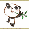 吃竹子貓熊