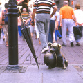 是誰遺忘的Puppy？ 是紳士帽還是淑女傘的主人？ 獨留人後的街角，更顯孤寂！旅人和Puppy的邂逅勾起相逢海角天涯的喜悅。
中世紀古鎮 Turun舊城於1997年UNESCO列為世界文化遺產