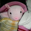 嗨！你好，我是可愛的小豬。我的主人很認真的給我抱枕和外套，我可愛嗎？
