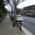 日本的街道真的很乾淨，幾乎看不見垃圾的存在。