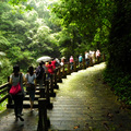 【走進綠世界】－獅山步道結伴行