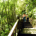 獅山步道