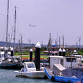 竹圍漁港 2011