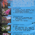 2007陽明山花季  綜合篇