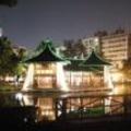 台中公園夜景