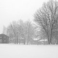 Whipple Park(U of Rochester) in winter
