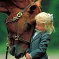 Little girl and her horse