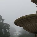 迷霧之中的金門公園 - 1