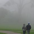 迷霧之中的金門公園 - 3