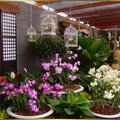 2010 台北國際花博美術館區  11 月 16