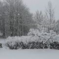 2009年底Lund的大雪 - 5