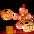 2008台北元宵節燈會-14