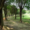 大安森林公園